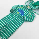 Dinosaur Appliqued Green Striped Beach Suit With Sun Hat - Boys 6-9 Months