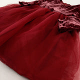 Flowers Burgundy Velour & Net Party Dress - Girls 18-24 Months