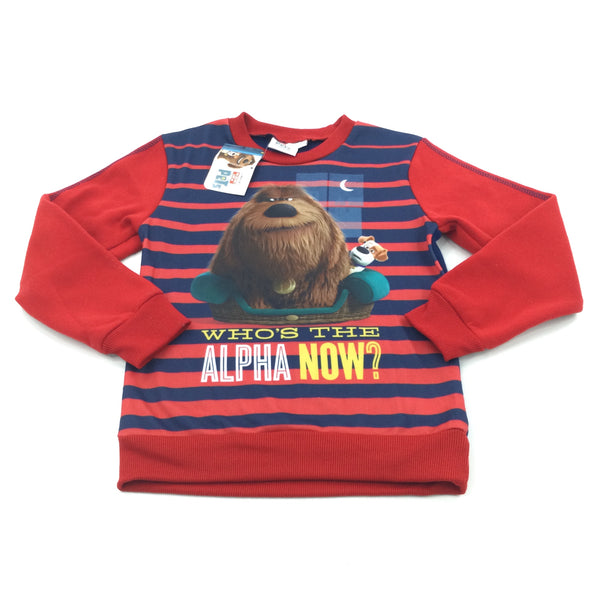 **NEW** 'Who's The Alpaca Now?' The Secret Life Of Pets Red & Navy Jumper - Boys 8 Years