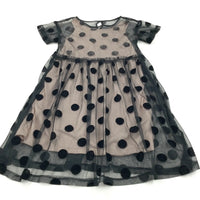 Spotty Peach & Black Dress with Net Overlay - Girls 7-8 Years