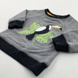 Toucan Appliqued Grey Sweatshirt - Boys 3-6 Months