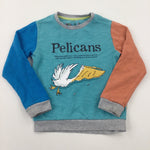 'Pelicans' Roald Dahl Colourblock Sweatshirt - Boys 4-5 Years